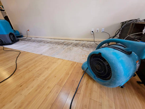 Professional Burst Pipe Water Damage technician working in Crystal Beach, FL